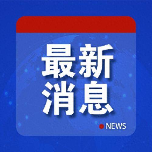 🌸证券时报【2024澳门资料大全正版资料免费】_奥运订单加持下国内体育用品销量大增，中国制造“征战”世界赛场  第2张