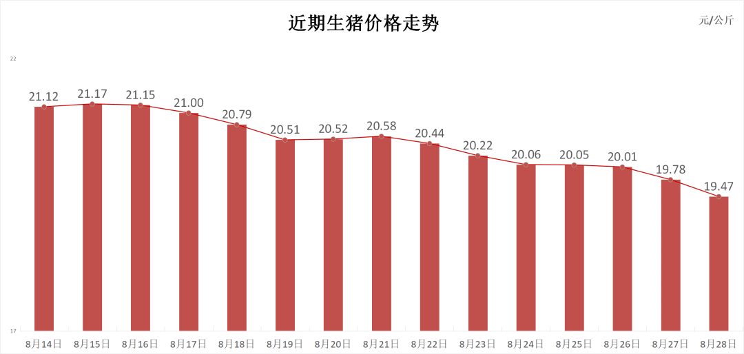 每日猪讯8.28  第3张