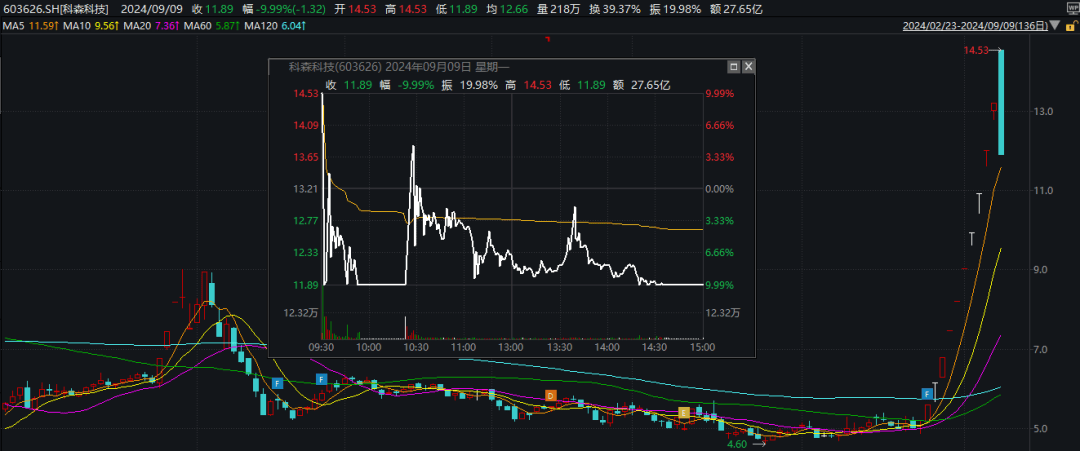 闪崩！天地板！深圳华强、大众交通、科森科技等多只“牛股”异动，背后都有谁？“拉萨天团”疯狂出手